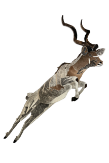Jumping Kudu - Wall Trophy